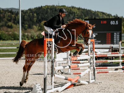 © Niki Buchegger, turnier-fotos.at