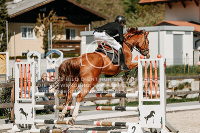 © Niki Buchegger, turnier-fotos.at