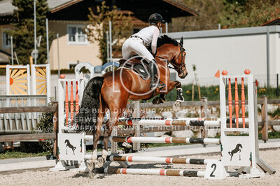 © Niki Buchegger, turnier-fotos.at