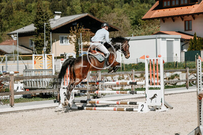 © Niki Buchegger, turnier-fotos.at
