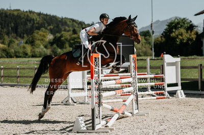 © Niki Buchegger, turnier-fotos.at