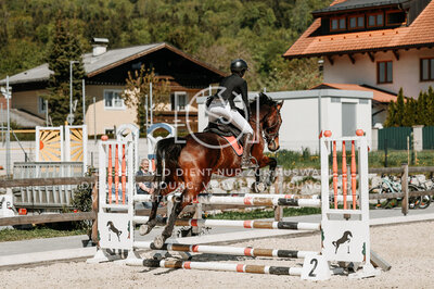 © Niki Buchegger, turnier-fotos.at