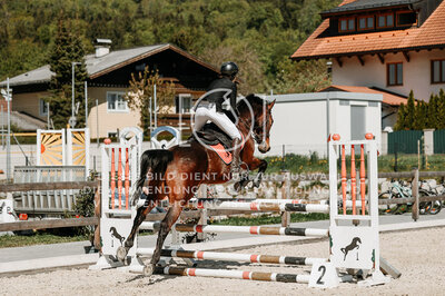 © Niki Buchegger, turnier-fotos.at