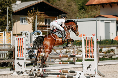 © Niki Buchegger, turnier-fotos.at