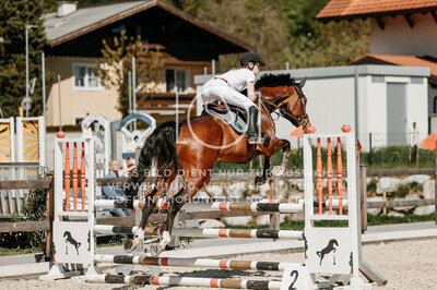 © Niki Buchegger, turnier-fotos.at