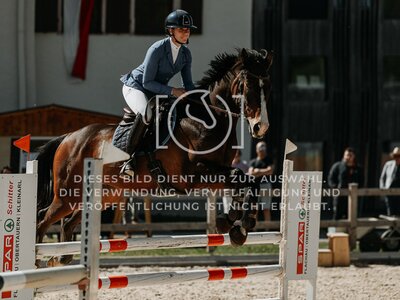© Niki Buchegger, turnier-fotos.at