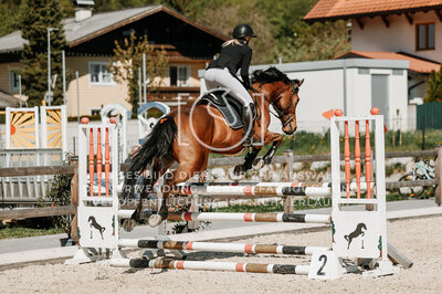 © Niki Buchegger, turnier-fotos.at