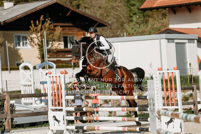 © Niki Buchegger, turnier-fotos.at