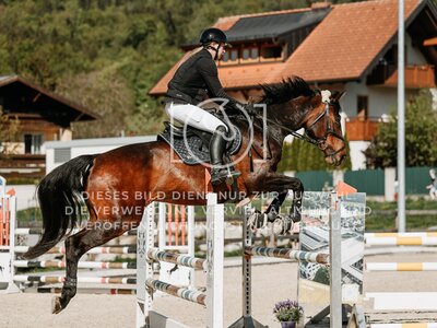 © Niki Buchegger, turnier-fotos.at