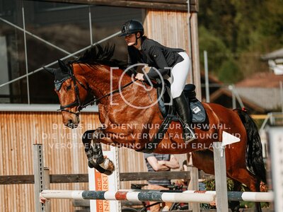 © Niki Buchegger, turnier-fotos.at