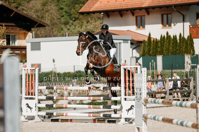 © Niki Buchegger, turnier-fotos.at