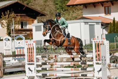 © Niki Buchegger, turnier-fotos.at