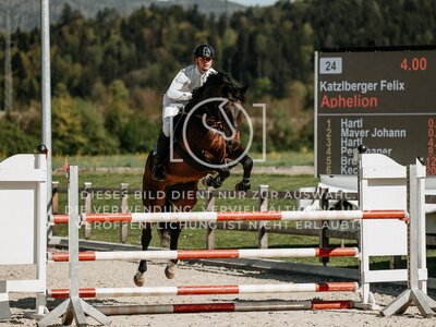 © Niki Buchegger, turnier-fotos.at