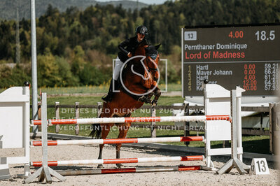 © Niki Buchegger, turnier-fotos.at