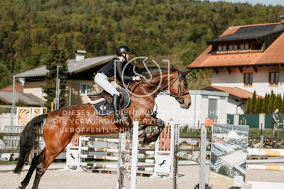 © Niki Buchegger, turnier-fotos.at
