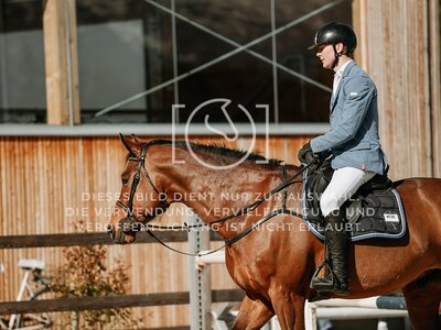 © Niki Buchegger, turnier-fotos.at