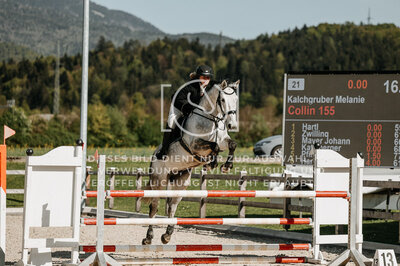 © Niki Buchegger, turnier-fotos.at