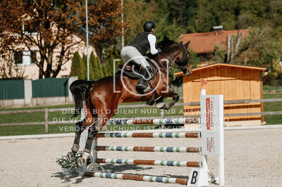 © Niki Buchegger, turnier-fotos.at