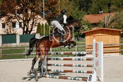 © Niki Buchegger, turnier-fotos.at