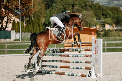 © Niki Buchegger, turnier-fotos.at
