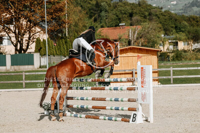 © Niki Buchegger, turnier-fotos.at