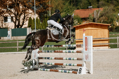 © Niki Buchegger, turnier-fotos.at
