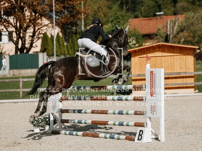 © Niki Buchegger, turnier-fotos.at