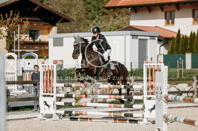 © Niki Buchegger, turnier-fotos.at