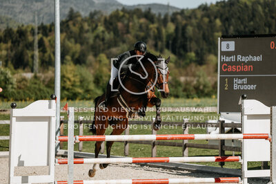 © Niki Buchegger, turnier-fotos.at