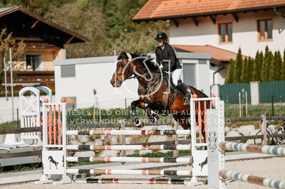 © Niki Buchegger, turnier-fotos.at