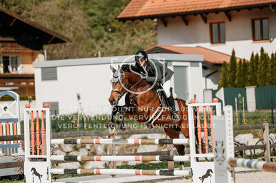 © Niki Buchegger, turnier-fotos.at