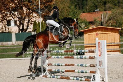 © Niki Buchegger, turnier-fotos.at