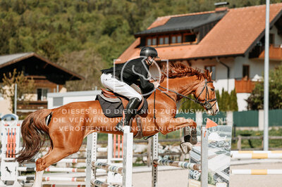 © Niki Buchegger, turnier-fotos.at