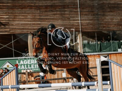 © Niki Buchegger, turnier-fotos.at