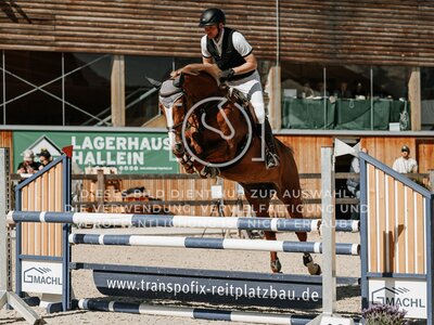 © Niki Buchegger, turnier-fotos.at