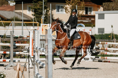 © Niki Buchegger, turnier-fotos.at