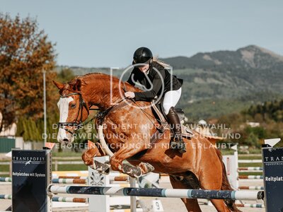 © Niki Buchegger, turnier-fotos.at