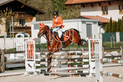 © Niki Buchegger, turnier-fotos.at