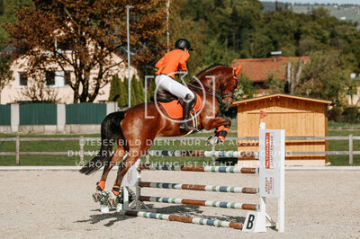 © Niki Buchegger, turnier-fotos.at