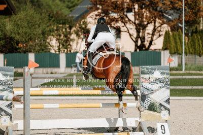 © Niki Buchegger, turnier-fotos.at
