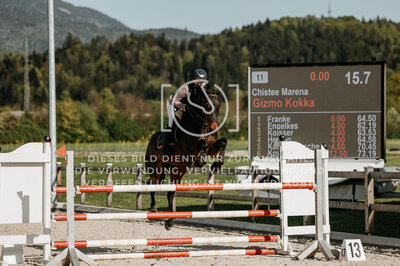 © Niki Buchegger, turnier-fotos.at