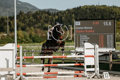 © Niki Buchegger, turnier-fotos.at