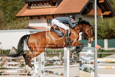 © Niki Buchegger, turnier-fotos.at