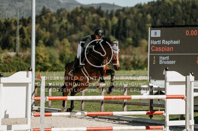 © Niki Buchegger, turnier-fotos.at