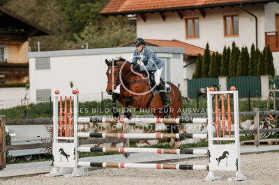 © Niki Buchegger, turnier-fotos.at