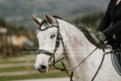 © Niki Buchegger, turnier-fotos.at