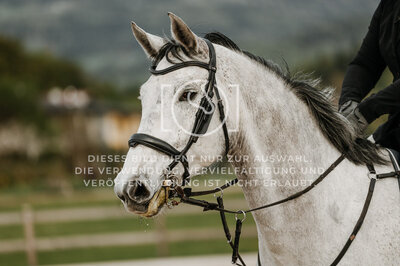 © Niki Buchegger, turnier-fotos.at