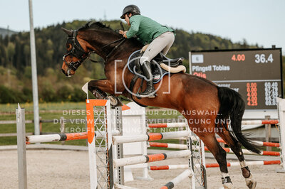 © Niki Buchegger, turnier-fotos.at