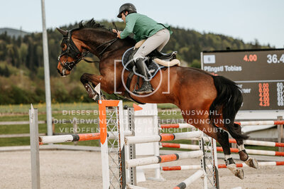 © Niki Buchegger, turnier-fotos.at