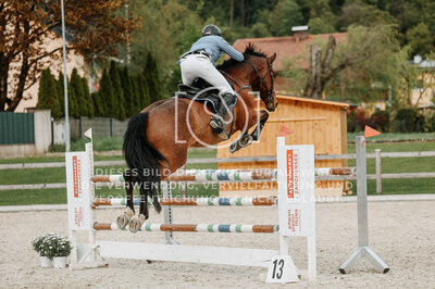 © Niki Buchegger, turnier-fotos.at